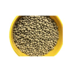 sera Viformo PLECO Tabs nature in 3 Größen - NEU MHD 06/28