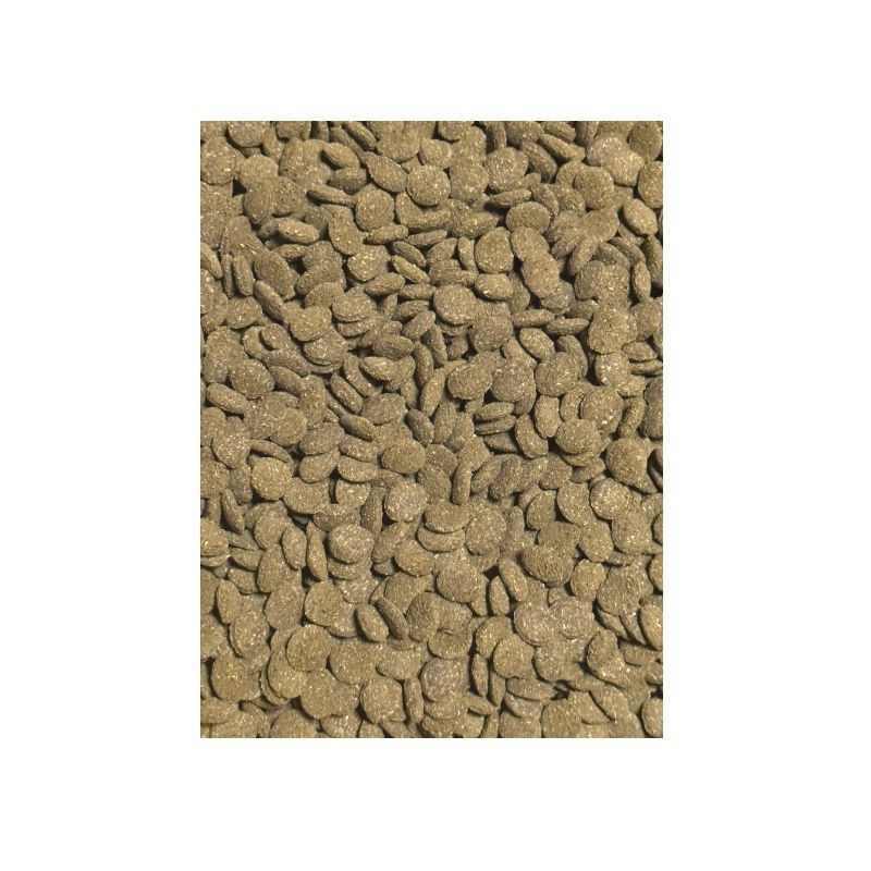 JBL NOVO PLECO Wafer M 1L Futtertabletten mit Holzanteil Saugwelse JBL NOVO PLECO Wafer M 1L Futtertabletten mit Holzanteil Saugwelse