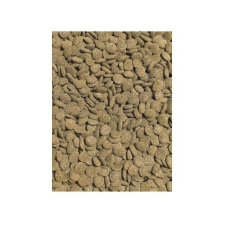 JBL NOVO PLECO Wafer M 100ml Futtertabletten mit Holzanteil Saugwelse